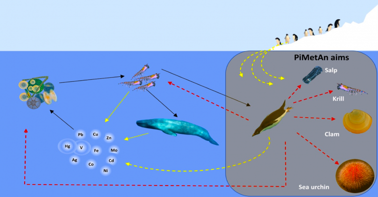hipotesis01-29216fd5